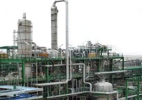 Pipping-Plant-Khozestan